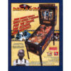 Ripley’s Believe It or Not! Pinball Machine by Stern