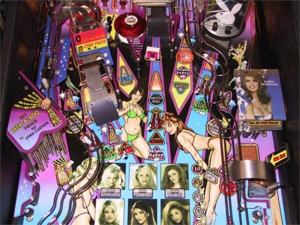 pbpf2.jpg Playboy Pinball Machine by Stern